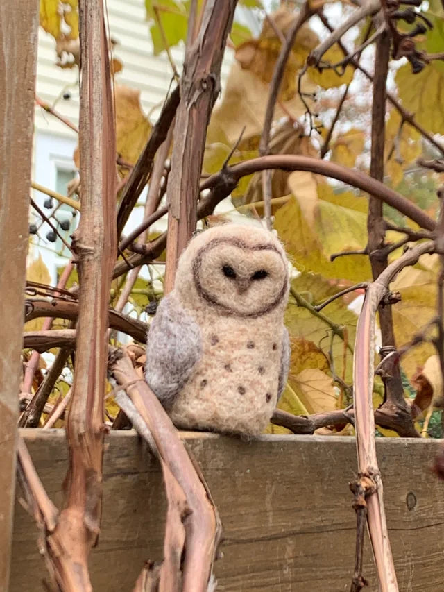 Barn Owl Felting Kit