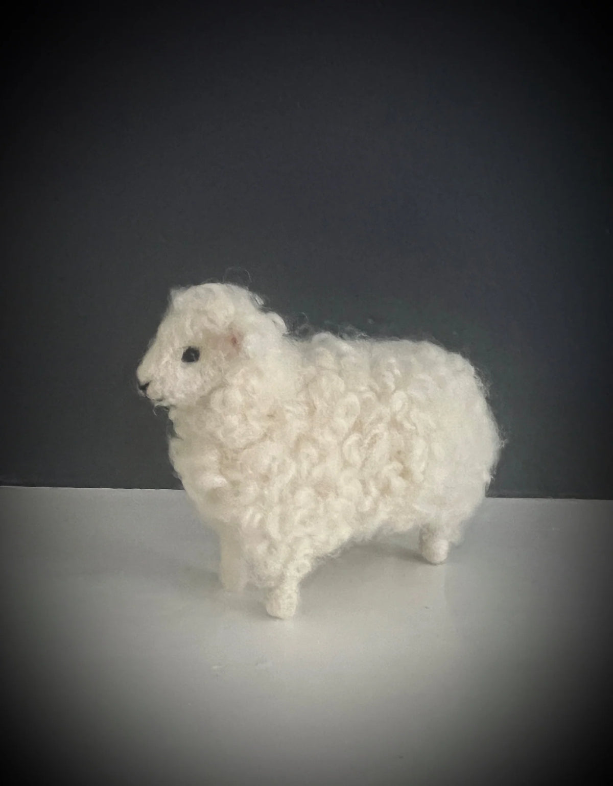 Curly Sheep Felting Kit