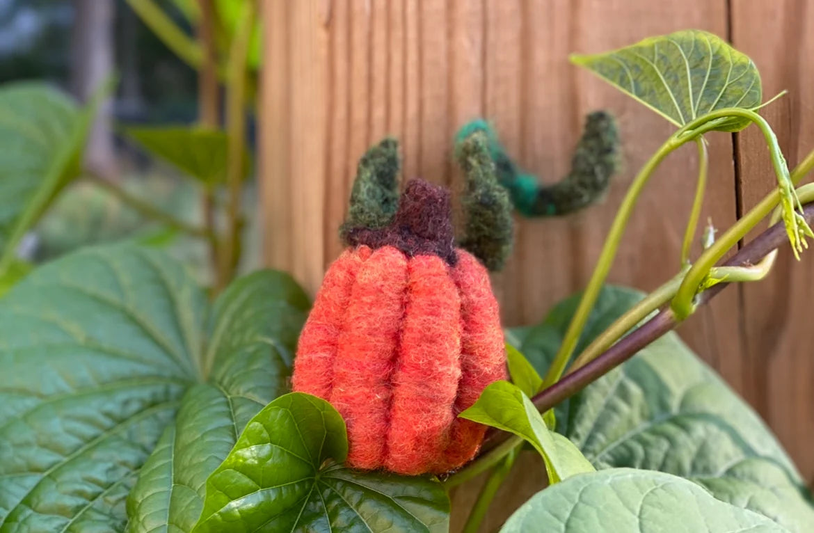 Pumpkin Felting Kit