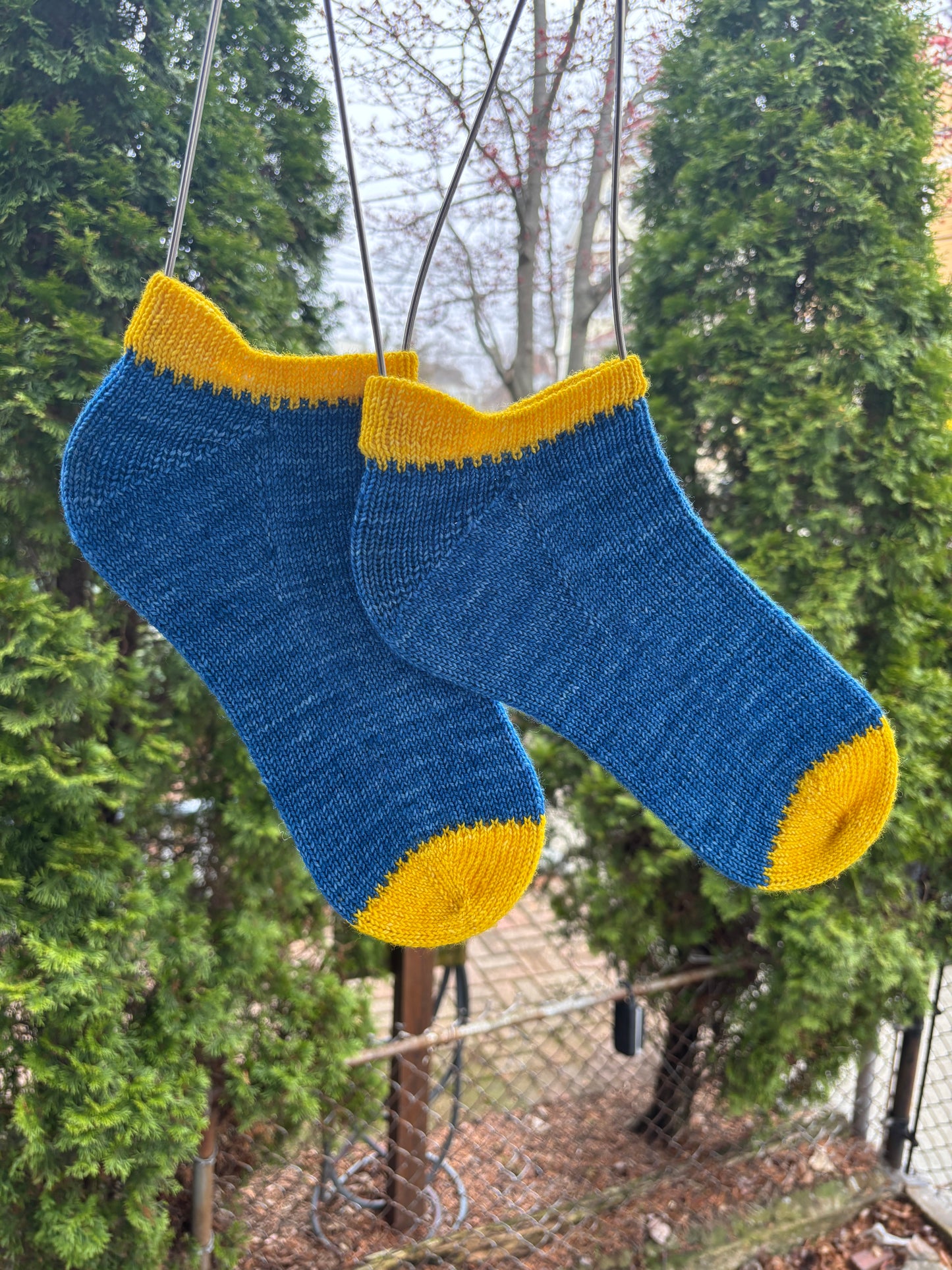 Finish Line Sock Kits