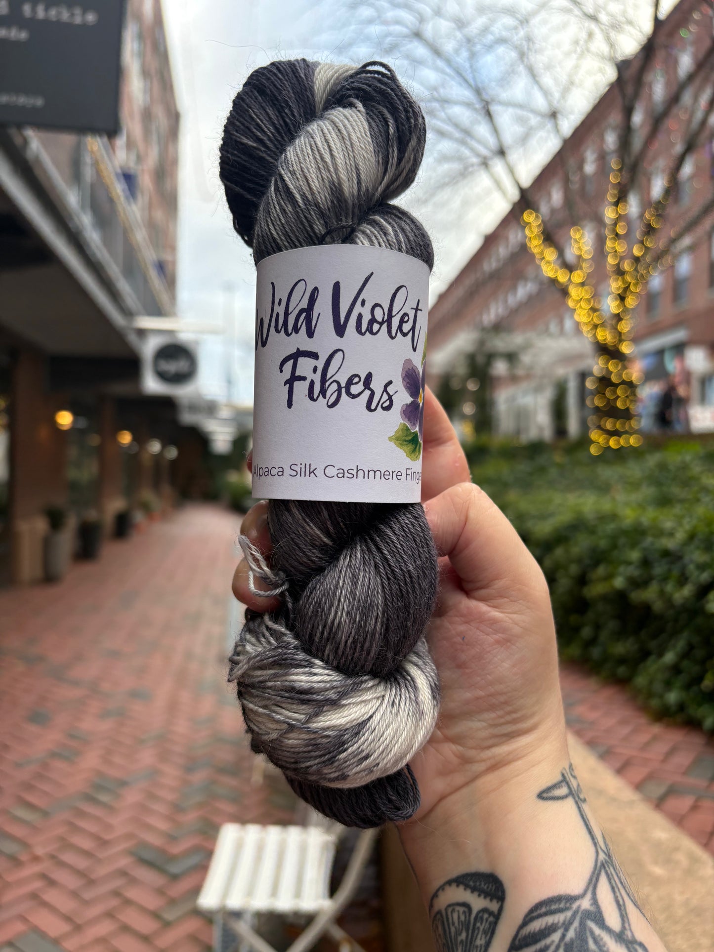 Alpaca Silk Cashmere Fingering