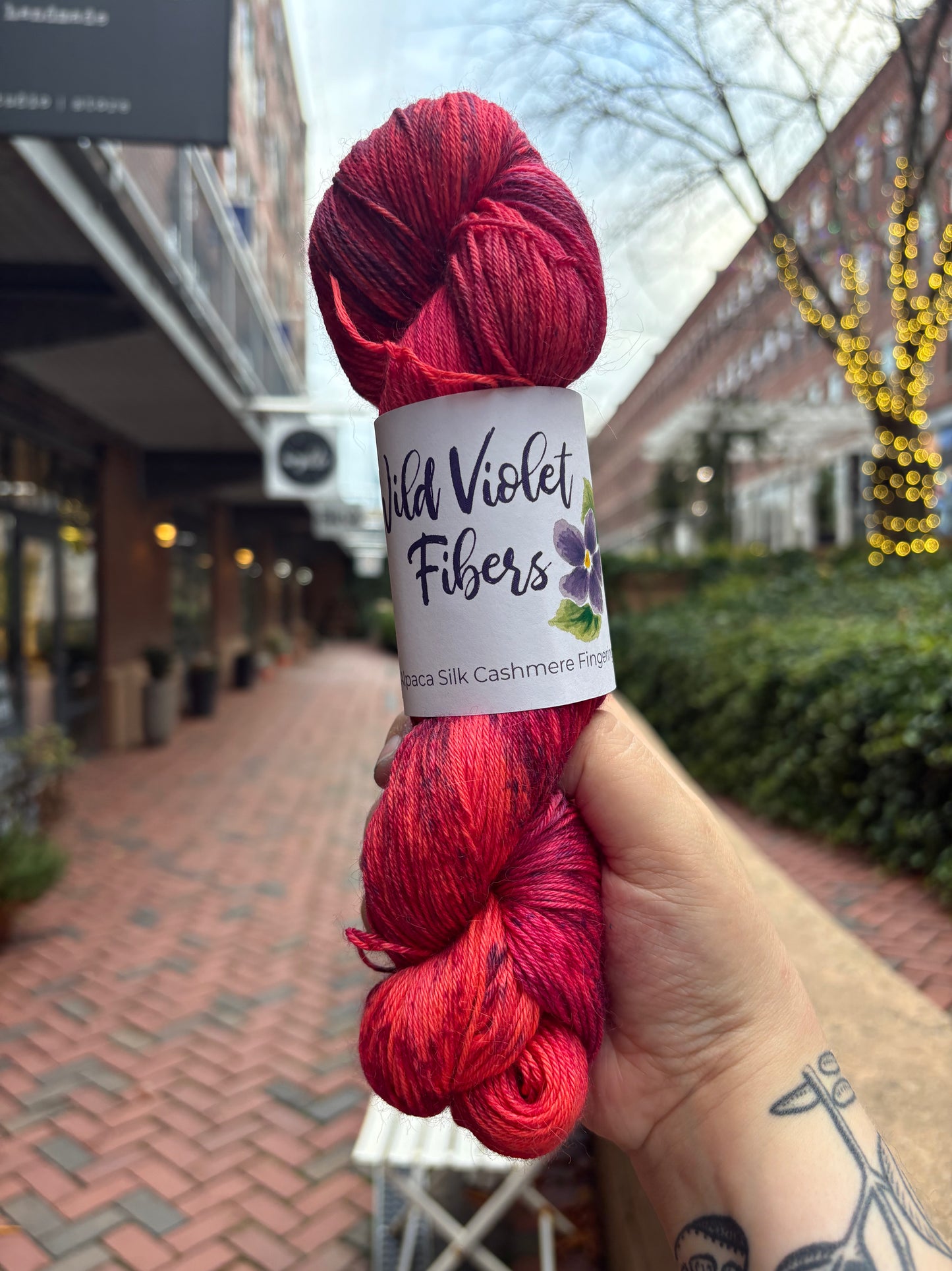 Alpaca Silk Cashmere Fingering