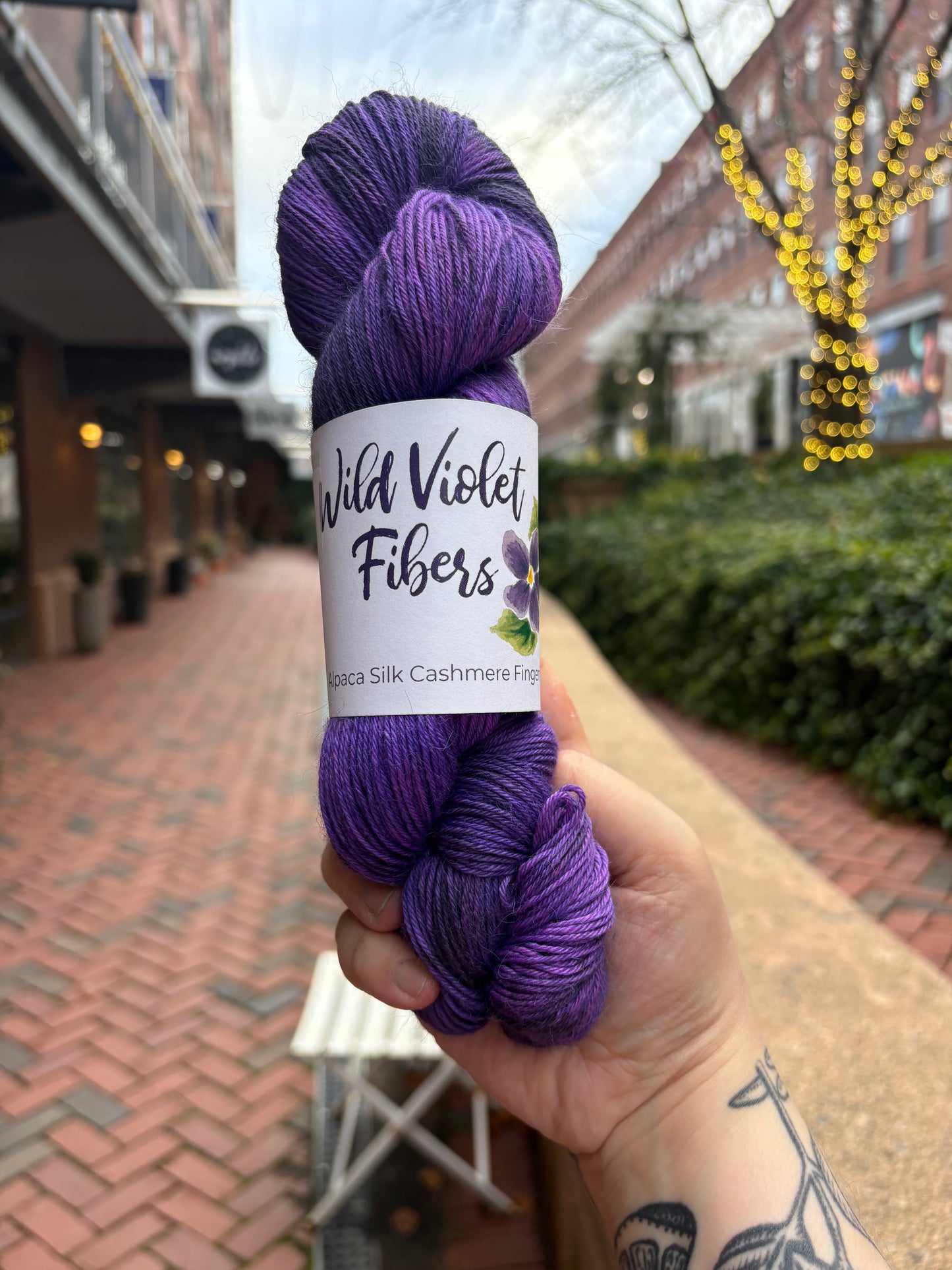 Alpaca Silk Cashmere Fingering