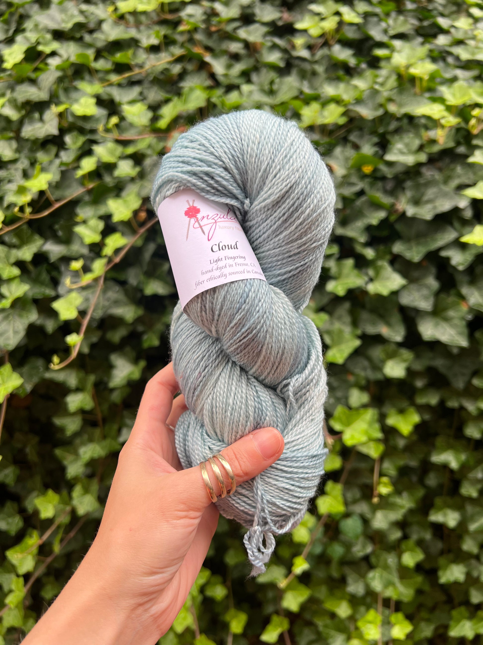 Hand holding a skein of light blue yarn against a green ivy background